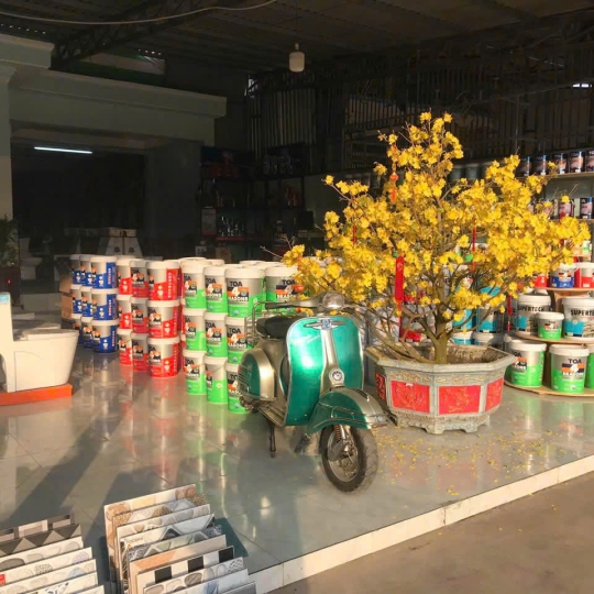 Sơn Nước