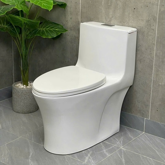 Toilet 1