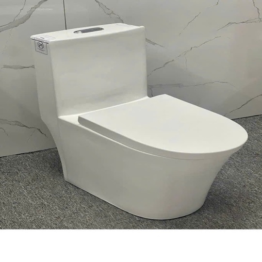 Toilet 2