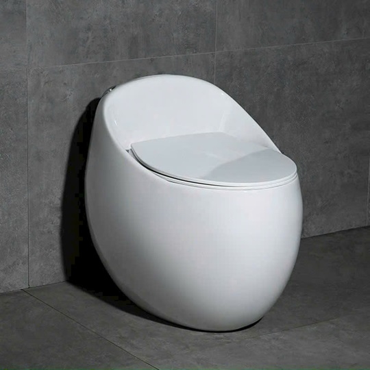 Toilet nguyên khối